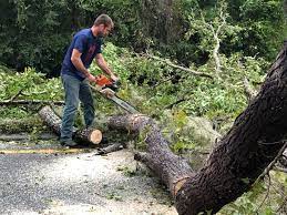 Best Lawn Grading and Leveling  in King City, OR
