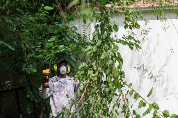 Best Pest Control for Lawns  in King City, OR